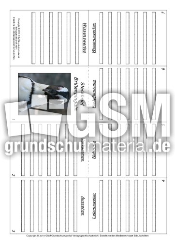 Faltbuch-Brillenpinguin.pdf